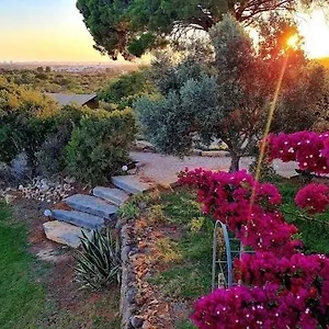 oasis-camp-portugal.hotelaalgarve.com/