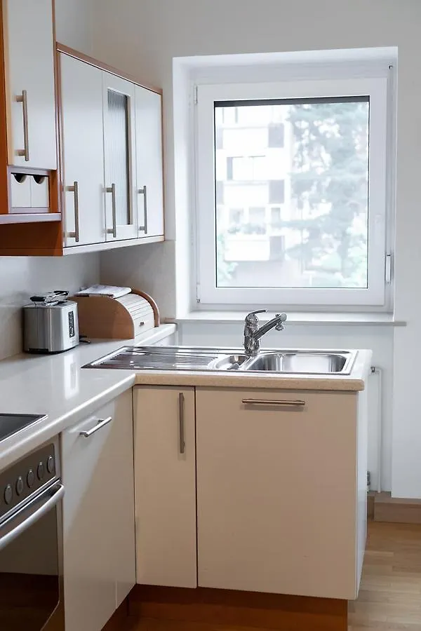 Suzana Iron'S Apartment リュブリャナ